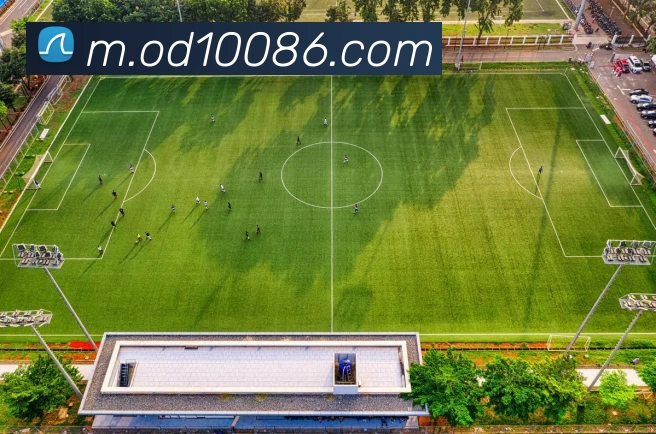 数据防护可视化